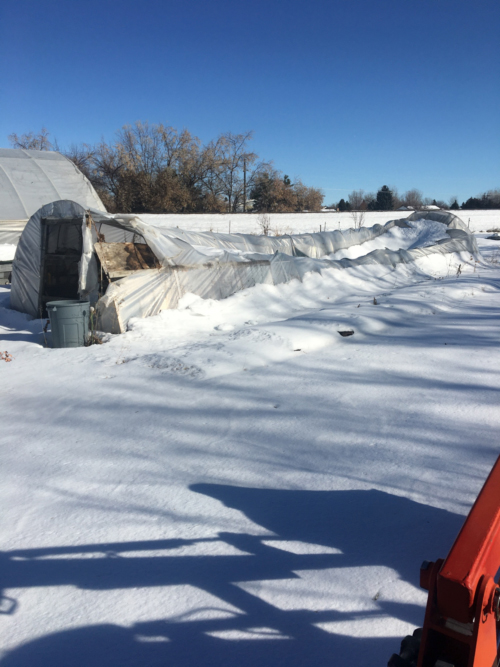 Collapsed Hoop House