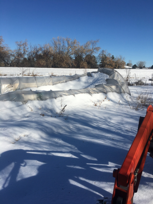 Collapsed Hoop House