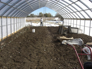 Preparing ground for planting in high tunnel house