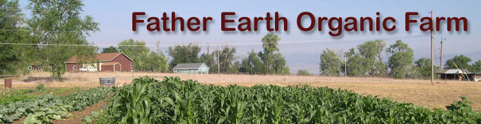 Father Earth Organic Farm is a small family farm in east Boulder County, CO that provides quality, locally grown, organic vegetables, fruits, and herbs. We have both a CSA program and a farm stand.